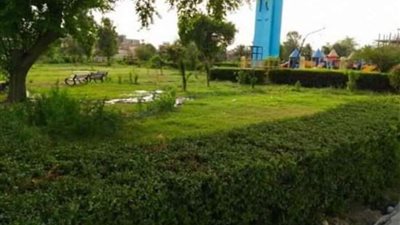 حصر الحدائق العامة المؤجرة بمحافظة الوادي الجديد وبحث جدية مستأجريها