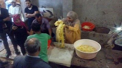 محافظ الشرقية يقرر ضم صناعة البردي لـ