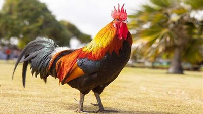 مُسنة فرنسية ترفع قضية ضد 