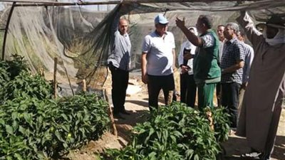 الزملوط يتفقد الصوب الزراعية بغرب الموهوب بالداخلة