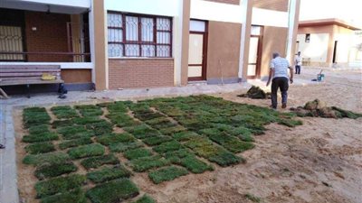 الوادي الجديد تبدأ تنفيذ مبادرة 