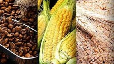 في الأسبوع الأول من يوليو انخفاض أسعار القمح والفول والذرة والصويا