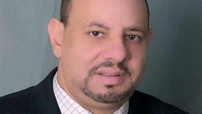 ولاء مرسي: إطلاق قناة لمخاطبة المصريين بالخارج خطوة لنجاح الدولة