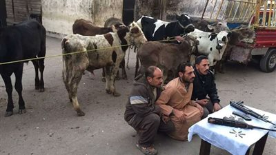 أمن الشرقية يلجم 