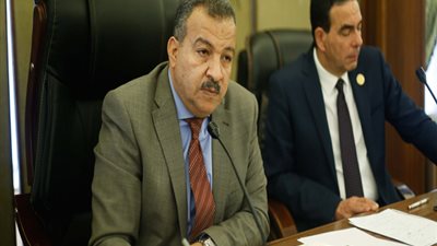 عبد العال يتدخل لحل أزمة بين نائبة ورئيس لجنة الصحة بالبرلمان