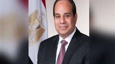 بعد وصوله النيجر.. ماذا يناقش السيسي في القمة الأفريقية؟