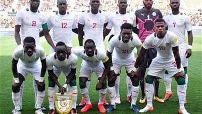 مدغشقر تصنع التاريخ بالتأهل لربع نهائي أمم أفريقيا 2019