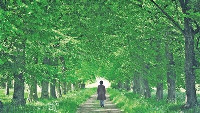 دراسة: الطبيعة مفيدة للصحة البدنية والنفسية