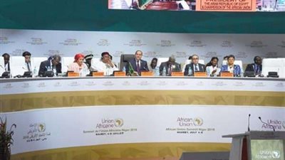 السيسي يترأس القمة التنسيقية المصغرة في نيامي