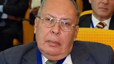 أحمد حجاج: اهتمام أفريقي باستخدام مصر كمركز للانتشار العربي