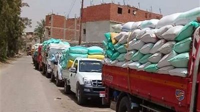 توريد 639 ألف و241 طن قمح لصوامع وشون الشرقية