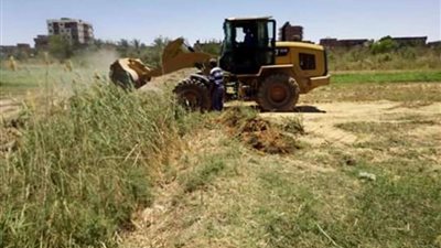 ١١ قرار إزالة للتعديات على أراضي الدولة بالوادي الجديد