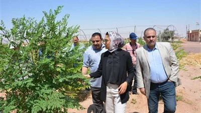 نائب محافظ الوادي الجديد تتفقد مَزرعة المورينجا بقرية ناصر