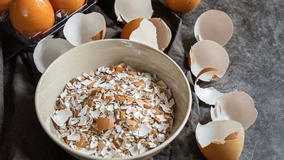 فوائد تجعلك تحتفظ  بقشر البيض