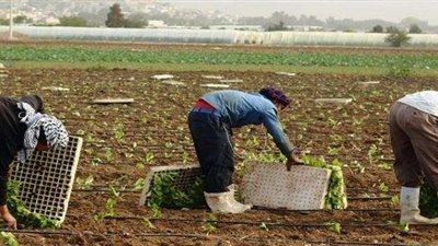 برلماني يطالب الحكومة بالنظر إلى صغار المزارعين