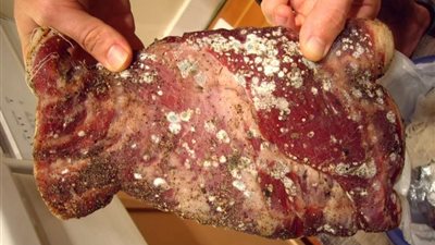 لربات البيوت.. 5 خطوات للحفاظ على الطعام في الصيف