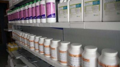 خبير بيطري يكشف أهمية مبادرة تصدير الأدوية لأفريقيا (فيديو)