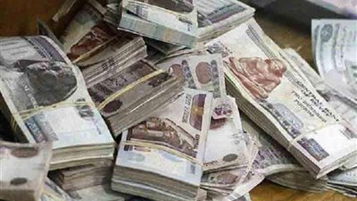ضبط 55 قضية أموال عامة بحجم تعاملات 200 مليون جنيه و3 ملايين دولار
