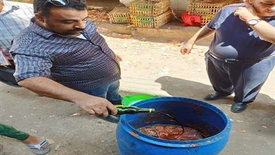 صحة الشرقية: غلق 2 منشأة وإعدام 955 كجم أغذية بمحلات الكشري ببلبيس