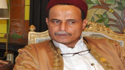 برلماني: القارة السمراء بها مستقبل واعد للتنمية في شتى المجالات