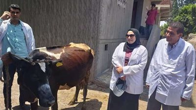 محافظ البحيرة: تحصين 314 ألف رأس ماشية ضد الحمى القلاعية بالمحافظة
