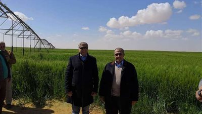 الانتهاء من حل أزمة صرف الأسمدة بجمعيات الإصلاح الزراعي بالقليوبية