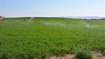 تسليم 450 فدان بمشروع الظهير الزراعي ببلاط في الوادي الجديد