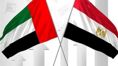 الإمارات تخفض رسوم 145 خدمة ومعاملة