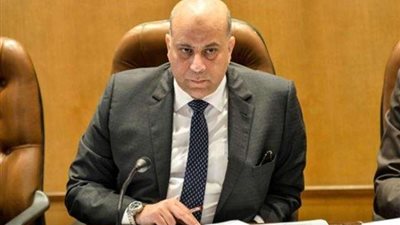 برلماني: السيسي يحظي أهمية كبيرة لفتح الآفق عالميًا