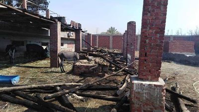 بالصور.. السيطرة على حريق بمزرعة مواشي في المعصرة