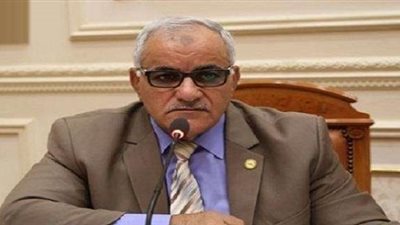 عضو «محلية البرلمان»: يجب اختيار المحافظين وفقًا لكفاءتهم