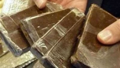 ضبط عاطل بالغربية بحوزته 120 قطعة حشيش