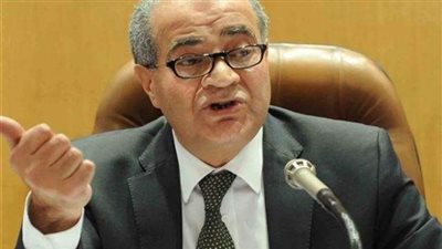 المصيلحي: منطقة لوجستية في قنا باستثمارات ”مليار جنيه”