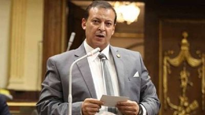 برلماني: السيسي كسب الرهان في ثقة الشعب المصري