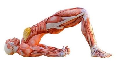 بالخطوات.. تمرين بسيط لعلاج آلام الرقبة والعمود الفقري