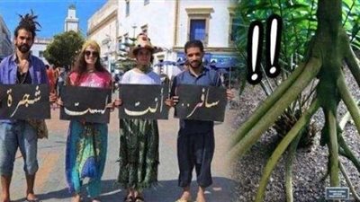 في الإكوادور حتى الشجر يسافر.. أسطورة ”سوكراتيا”