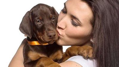 تعرفي على كيفية التعامل مع الحيوانات الأليفة أثناء الحمل