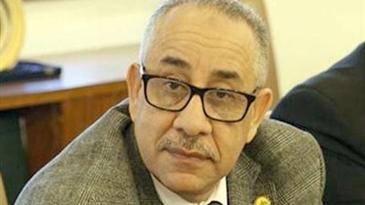 برلماني: مصر لديها القدرة على زيادة حجم الاستثمارات في البلاد