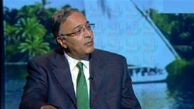 «خبير سياسي»: حزب الحكومة الأحق بالزعامة الحزبية