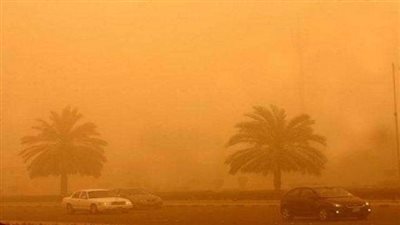 الزراعة: اتخذنا الاستعدادات لمواجهة العواصف الترابية