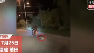 انعدام الرحمة.. قائد دراجة نارية يسحل كلب خلفه بأحد شوارع الصين| (فيديو)