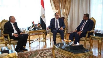 مصر تترأس اجتماع المكتب التنفيذي لمجلس الوزراء العرب للاتصالات والمعلومات