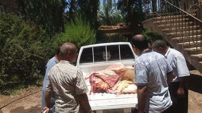 ضبط 139 كجم لحوم مذبوحة خارج السلخانة وغير صالحة للاستخدام بمركز البداري