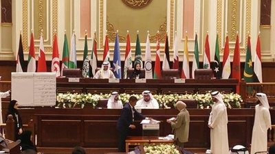 تفاصيل مشاركة 