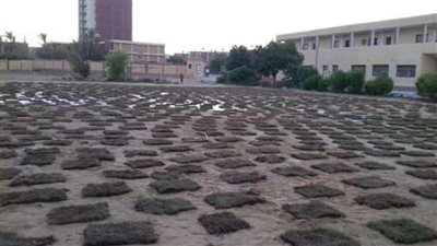 تعليم الوادي الجديد يواصل تنجيل ملاعب المدارس