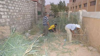 حملات مكثفة لتجميل الشوارع الرئيسية بمدينة الخارجة في الوادي الجديد