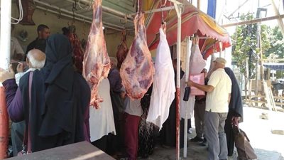 ضمن حياة كريمة.. 