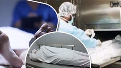 عاطل يقتل سائق في مشاجرة بسبب مبلغ مالي بالقليوبية