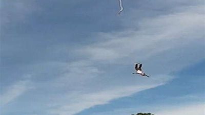 لحظات مرعبة.. سقوط شاب من ارتفاع 100 متر (فيديو)