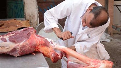 خبير تغذية يكشف ما يحتاجه جسم الإنسان من البروتين